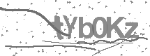 visual captcha